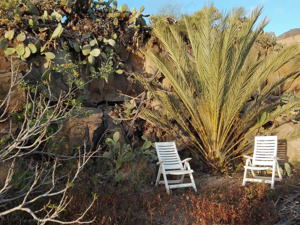 Finca Patio Canario Arona  Exteriör bild