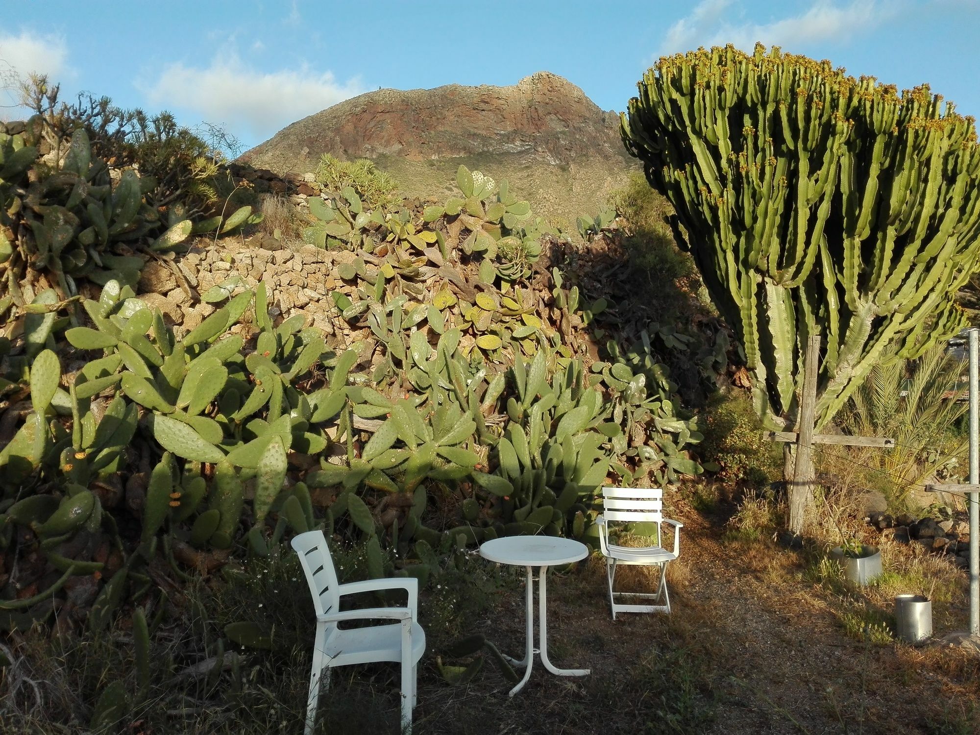 Finca Patio Canario Arona  Exteriör bild